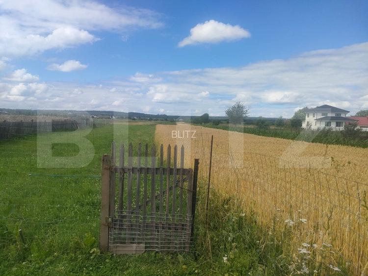 Teren intravilan la sosea, 6400 mp, Vicov de Sus - 4
