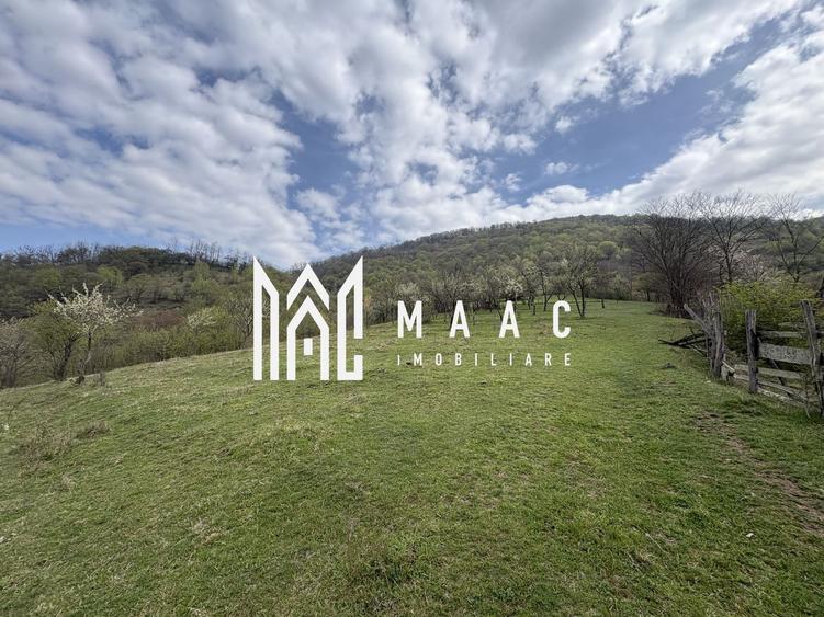 Teren de vânzare, 7750 mp I Orientare sudică I Caineni