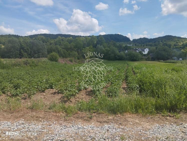 Teren 5832 mp-ideal lac, investitie, cabana, gradina-Slatinita - 3