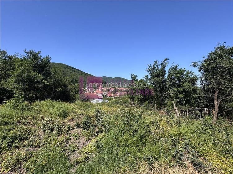 Teren intravilan de vanzare | Poplaca | loc de casa | 1.730 mp - 3
