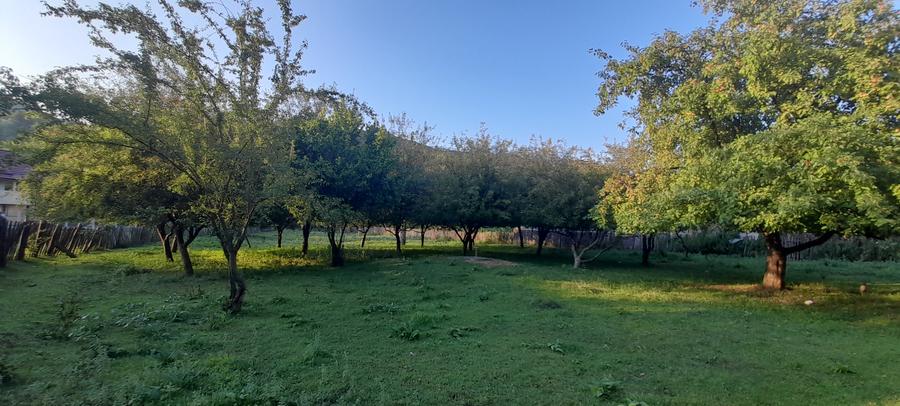 Puciosa Moreni Valea Lunga Sat Izvoru 20000mp teren de vanzare