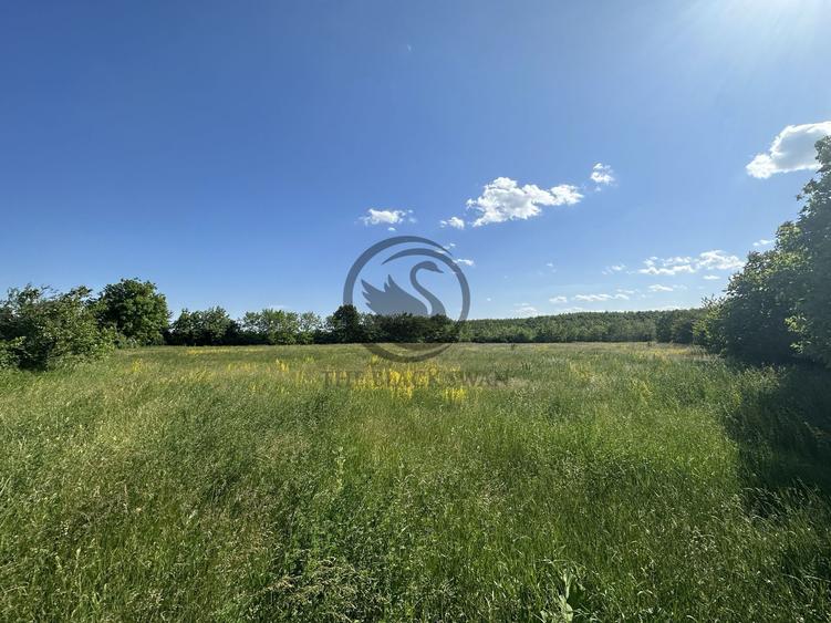 Teren intravilan de vanzare | 11.000 mp | Ghirdoveni | Comision 0%