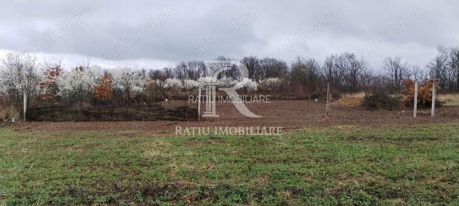 Teren intravilan 888 mp | Front 24 ml | Paleu
