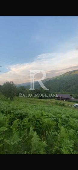 Teren 10.900mp | Panoramă în Apuseni | Remeți -Ideal pentru Investitii