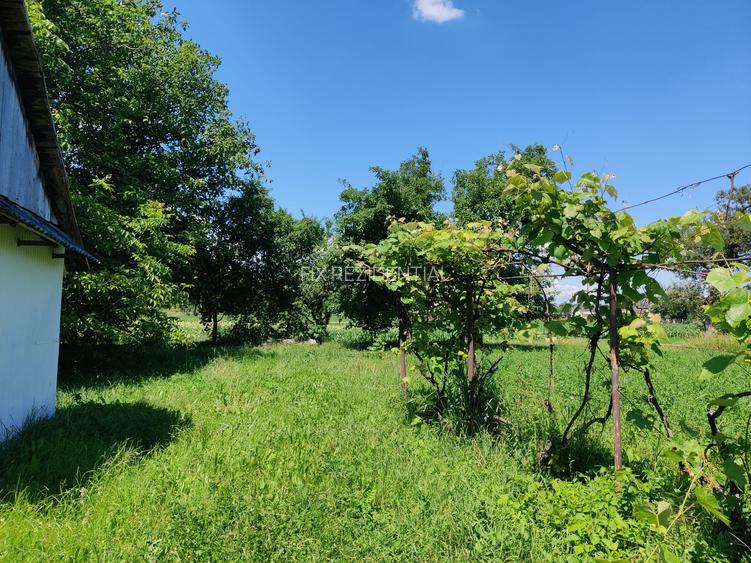 Casa la 5 km de Targu-Neamt - cu iaz si livada matura - gata pentru mutat - 16