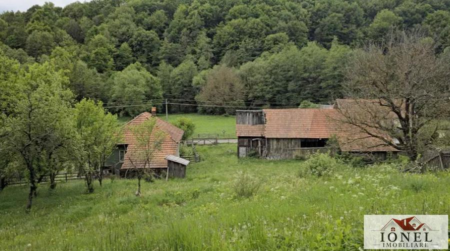 Vanzare casa in Almasu Mare -2650 mp teren