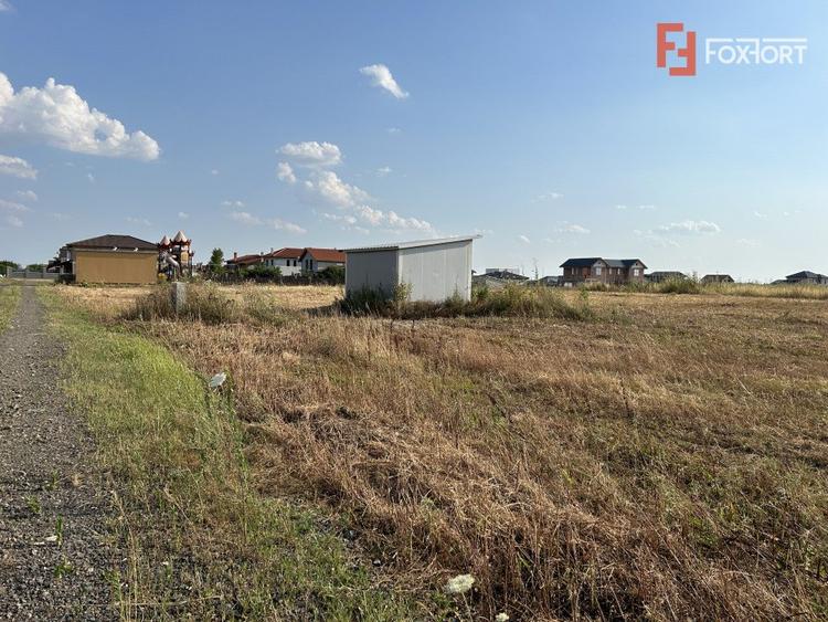 Parcele teren de vanzare in Sanandrei - ID V5451