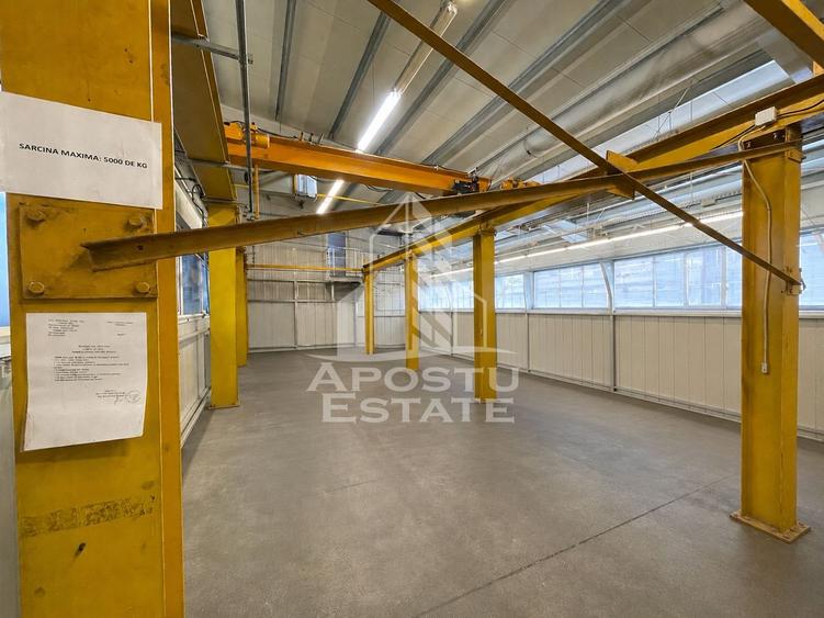 Hala industriala cu birouri, locatie foarte buna, Buziasului.
