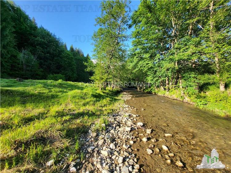 Teren Intravilan 12000 mp, Cascada Urlatoarea- Vama Buzaului, proiect aprobat pe - 18