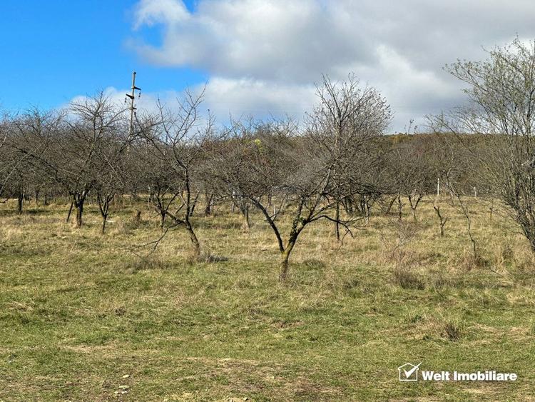 Teren Dambu Rotund 4750 mp, intravilan, UTR TDA_L, posibilitate investitie