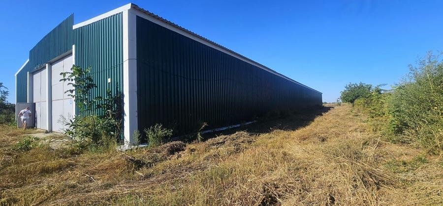 Hala 1.533 mp cu teren 5.000 mp – Vanatori, zona Maylo