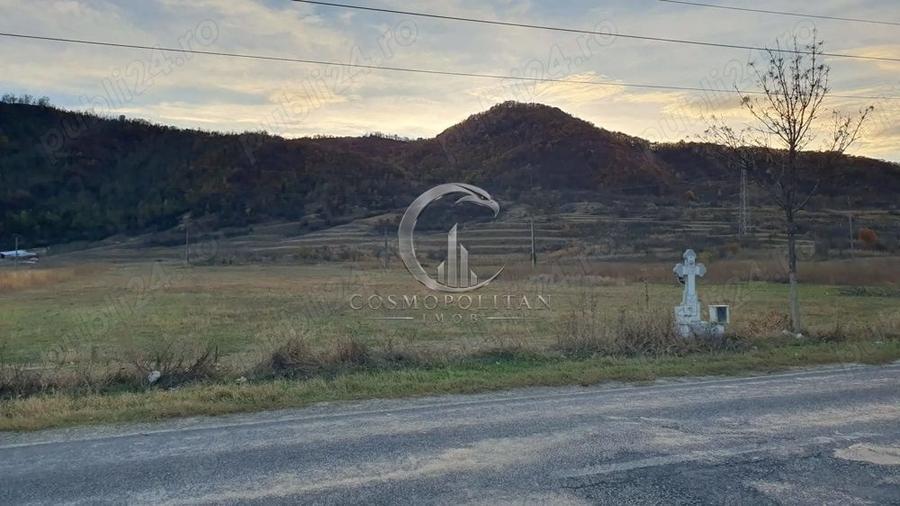 Teren intravilan zona Candesti BZ 10.000mp d=52m la DN10 Pret: 12 mp neg.