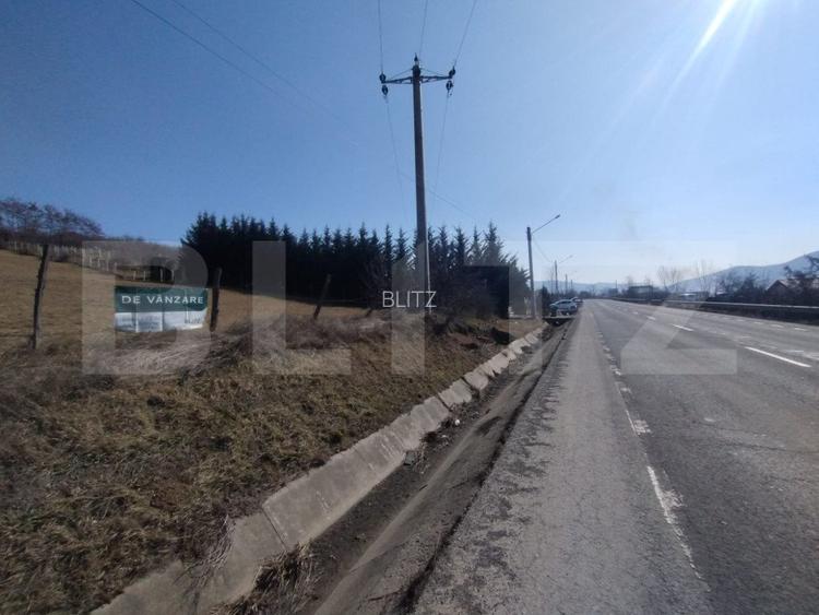 Teren Intravilan de vanzare, 12 ari în Crainimat - 2