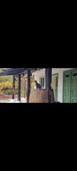 Casa traditionala intr-o zona de vis pe langa Curtea de Arges