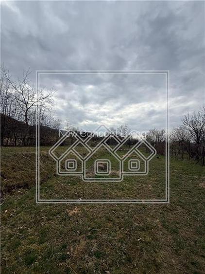 Teren intravilan 1247 mp de vanzare - zona Sadu, Sibiu - 2