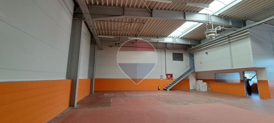 Spatiu Hala Calea Moldovei "Scorpion"