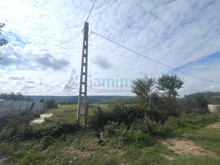 Teren intravilan de vanzare in Betfia, Bihor