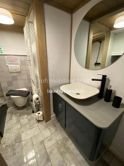 Apartament 60 Euro pe zi, amenajat in stil unic langa Primaria Arad - 20