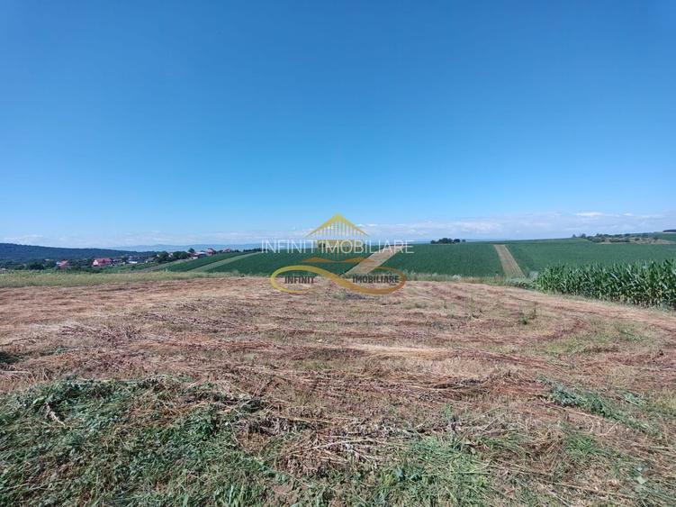 Casă de vânzare în Traian– 10 minute de BACAU - 11