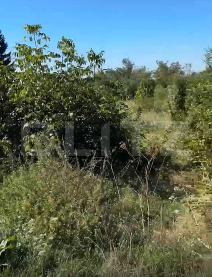 Teren intravilan, 1.539 mp, zona Valea Voievozilor