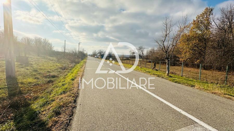 Teren intravilan 1160 mp – Ideal pentru investiție sau locuință
