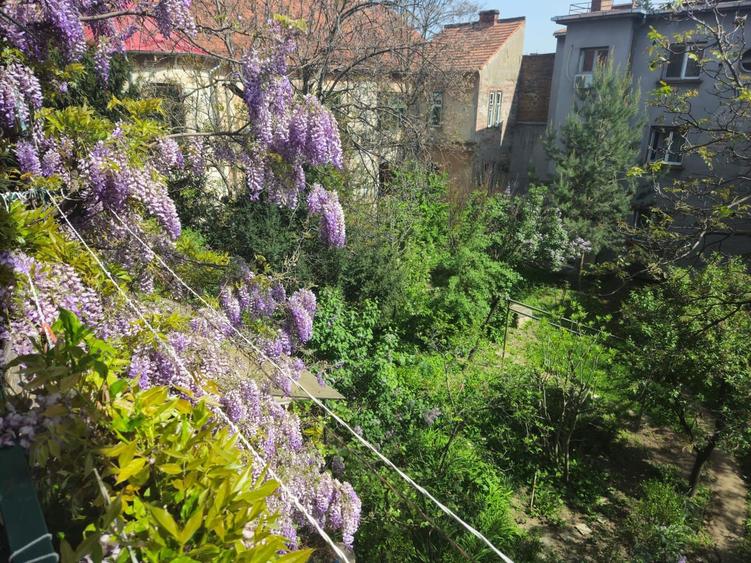 Apartament | 4 Camere | Zona Centrala | Piata Maria