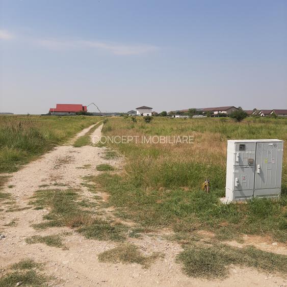 Teren 585 mp, intravilan, in Domnesti catre Teghes, din str. Curtea Domneasca - 10