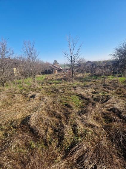 Teren 1528 mp cu casă de vânzare în centrul Gherceștiului — Investiție excelentă