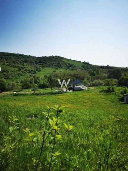 Teren cu cabane A-Frame și priveliște către Munții Făgăraș