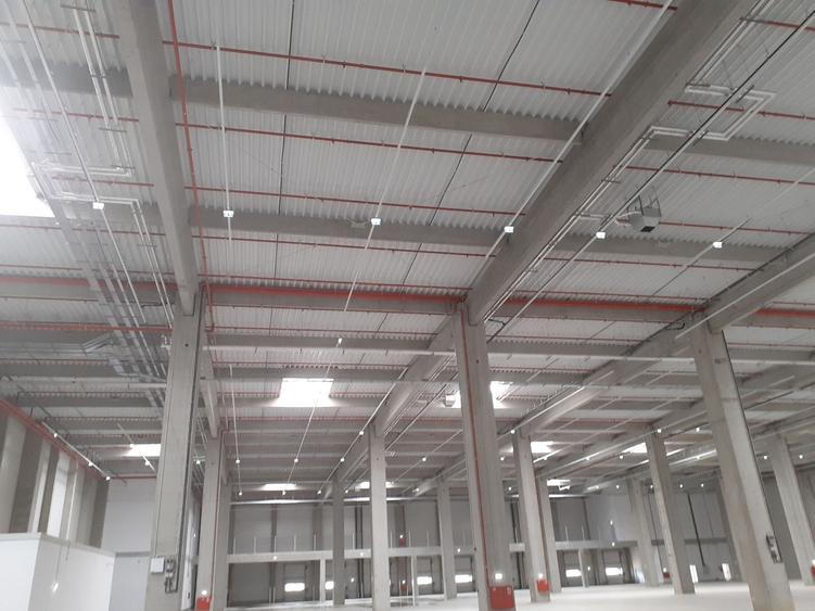 Depozite construite conform cerintelor / Warehouses build to suit