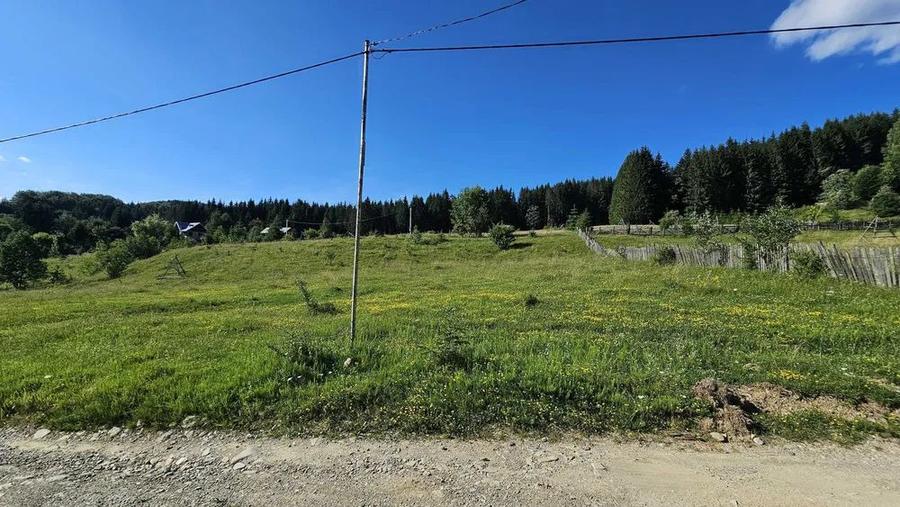 Teren intravilan Traisteni, Valea Doftanei – 2.290 mp, deschidere mare, padure