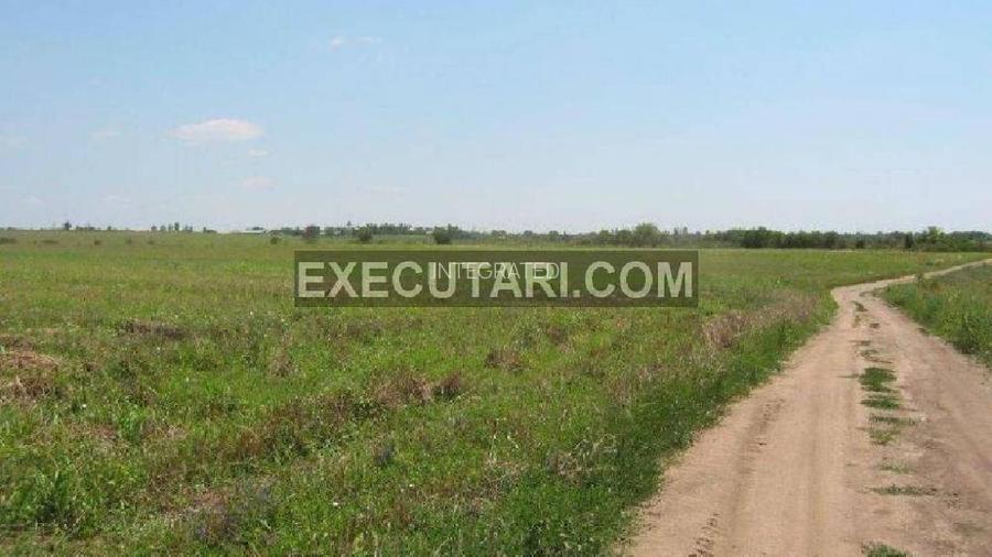 Teren extravilan -  60.000 m² - Sat Chirculesti - 5