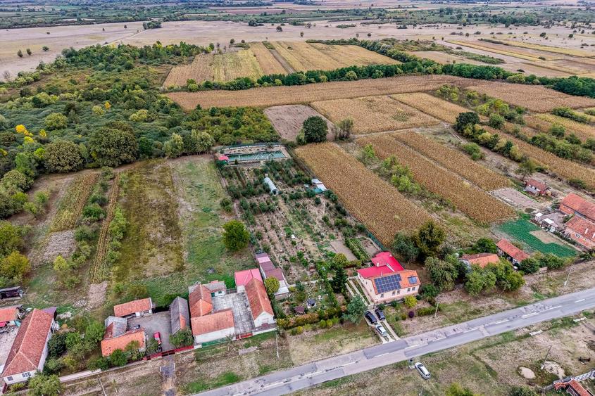 🏡 Mai mult decât o casă: libertatea de a trăi aproape de natură