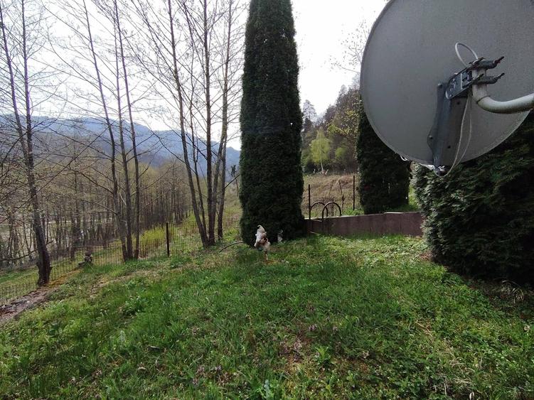 Proprietate de vacanta Valea Oltului - BREZOI