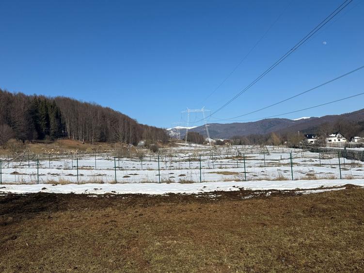 Teren intravilan 4521mp lângă pădure-valea Doftanei -Calea Brasovului