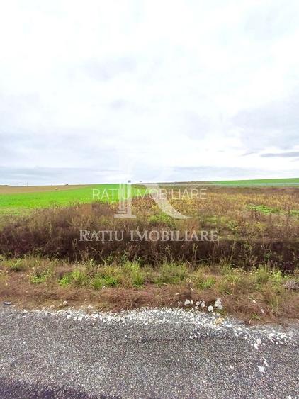Teren Investiție | 25 €/mp | Acces Drum Metropolitan OSORHEI - 6