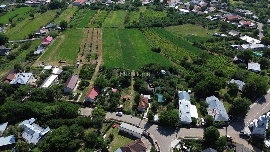 Teren intravilan 2.199 mp de vanzare | Sat Faraoanele | Str. Codrului | Deschide - 5