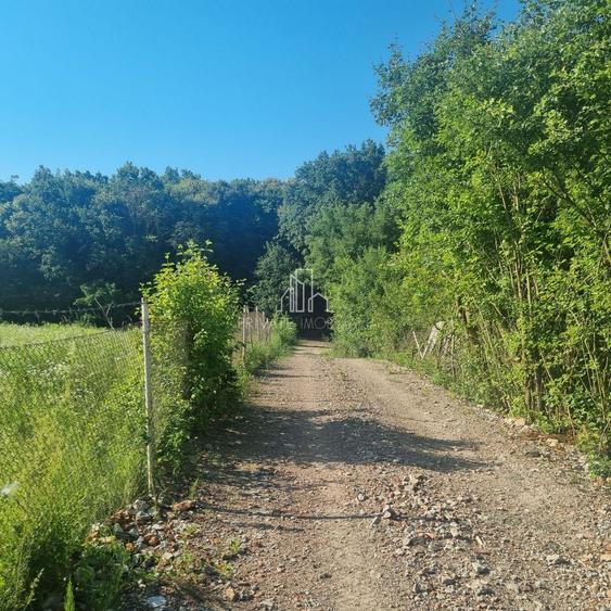 Teren Extravilan/Padure 90 000 Mp de Vanzare Zona Corunca/Acatari