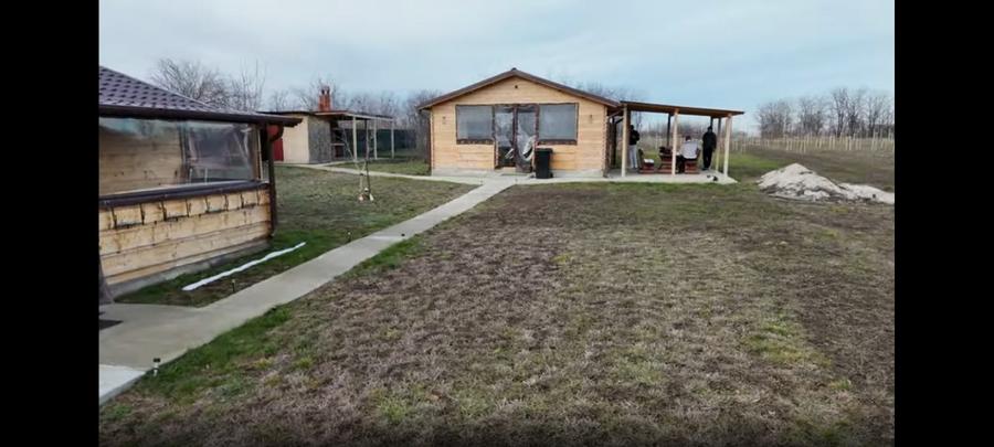 Oferta! Vând domeniu unicat (1 Ha) cu casă și livadă – Drăghiceanu, Giurgiu | Op