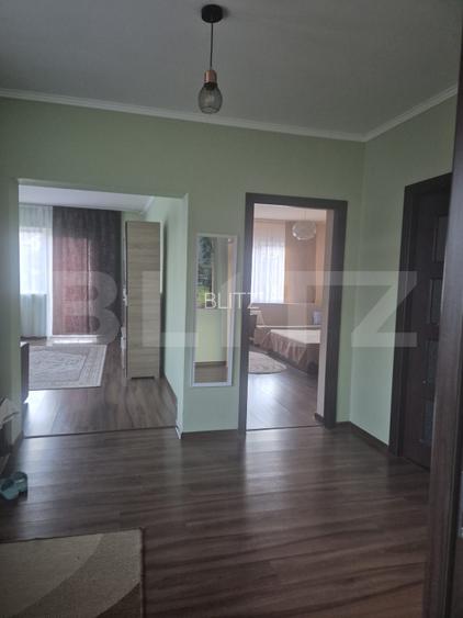 Casa spatioasa de vanzare in Sancrai cu 13 ari de teren - 14