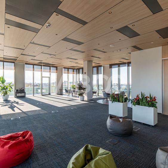 Birouri premium in Sibiu–Spatii flexibile moderne pentru companii