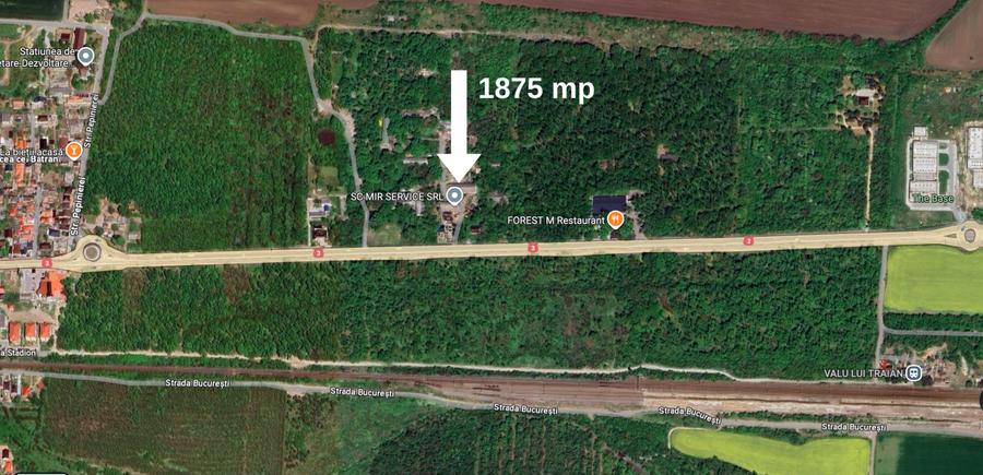 Hala 450 mp in mijlocul padurii Valu lui Traian cu teren 1875 mp
