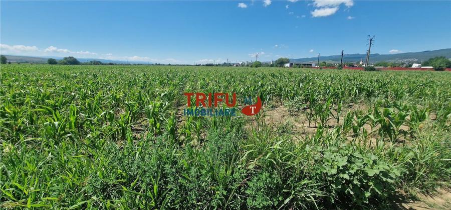Teren de vanzare langa soseaua de centura, 5100 mp