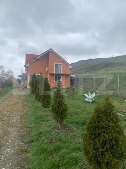Casa la cheie, teren 2800 mp, Jucu de Sus