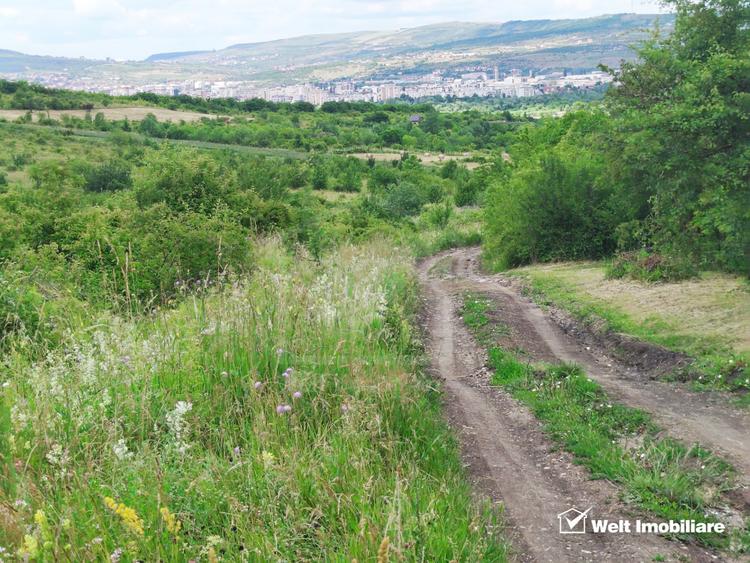 TEREN PENTRU REFUGIUL TAU IN NATURA - BORHANCI