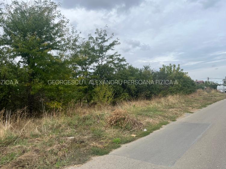 Teren 1000m Jilava  Str.Garii,Asfaltat ,Utilitati - 6
