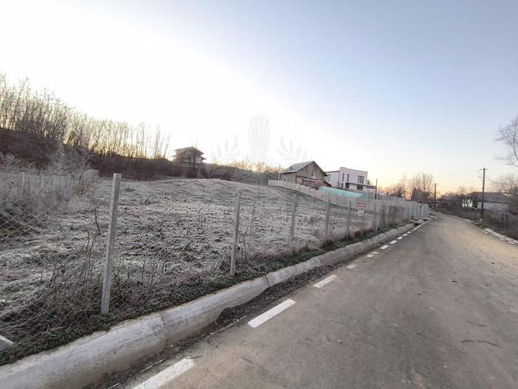 TEREN INTRAVILAN//COM. PLOPU//1300//2700 MP