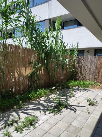 2 camere decomandat +Gradina proprie – Zona Mall Colosseum