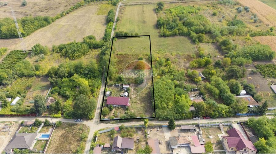Casă cu teren generos 5.160 m.p. SAT CĂNȚĂLĂREȘTI - Vaslui - 8