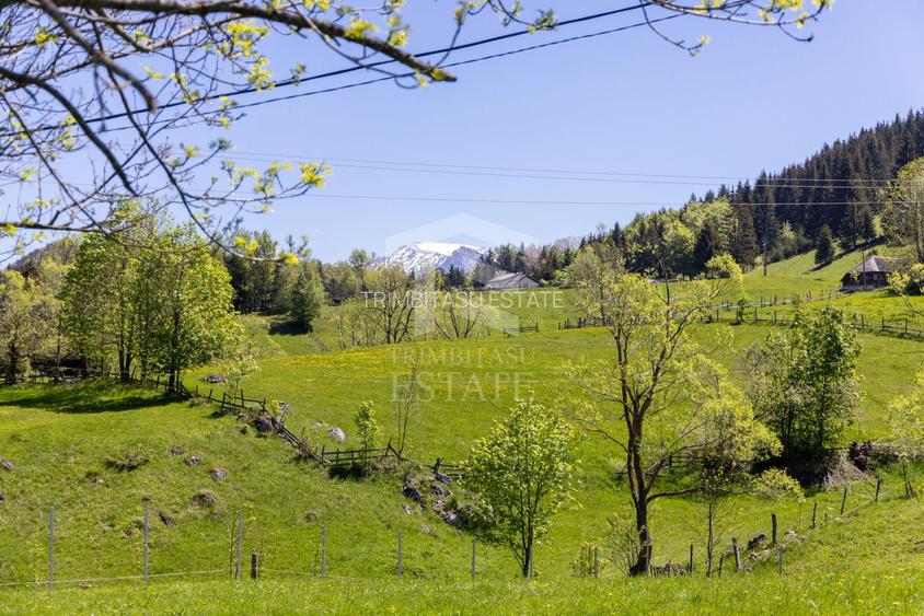 Fundata | Teren intravilan | 7,656 mp + Cabane tip A Frame - 9